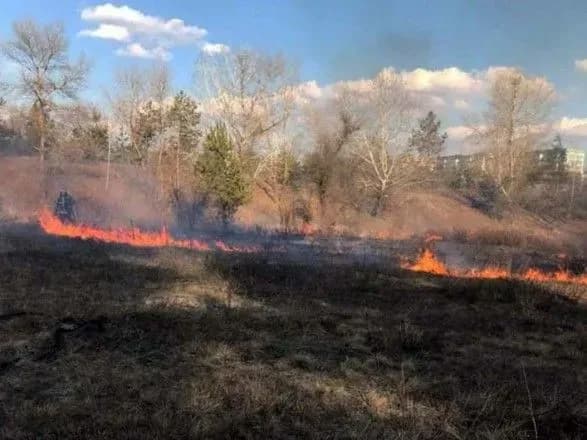 У Кам'янському горів сухостій на житловому масиві