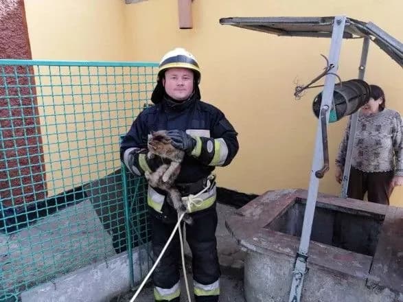 У Дніпрі рятувальники дістали кота із 6-метровго колодязя