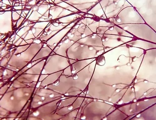 Сьогодні в Україні до 16 градусів тепла