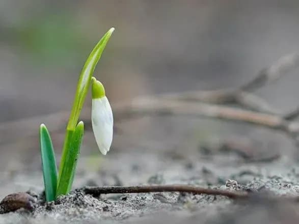 Від 5° морозу до 17° тепла: прогноз погоди на сьогодні