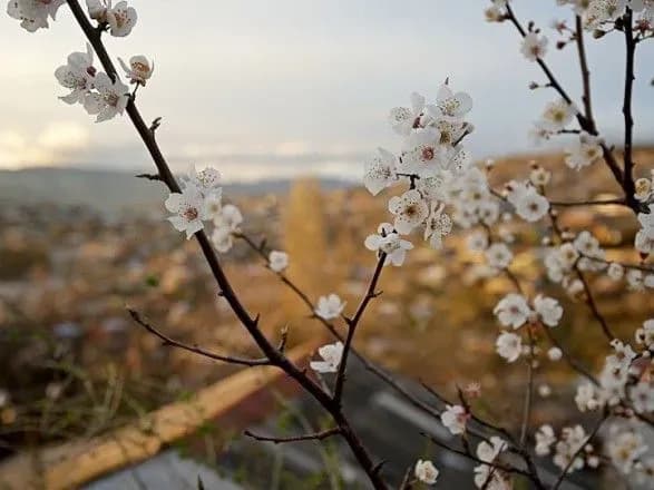 Синоптики прогнозують сьогодні до 13 градусів тепла