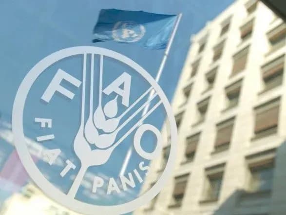 В ООН повідомили, коли прогнозують збої поставок продовольства