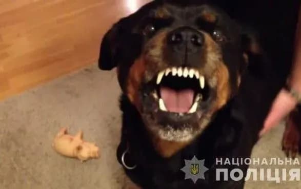 В Киевской области объявили подозрение владелице ротвейлера, который загрыз мужчину