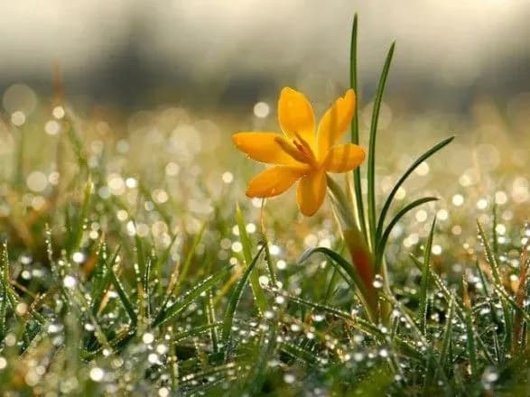 Сьогодні в Україні до 16 градусів тепла