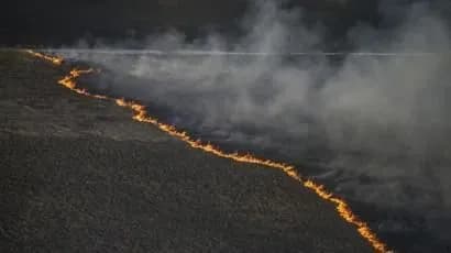 ДСНС: у Чорнобильській зоні ще є два осередки горіння трави