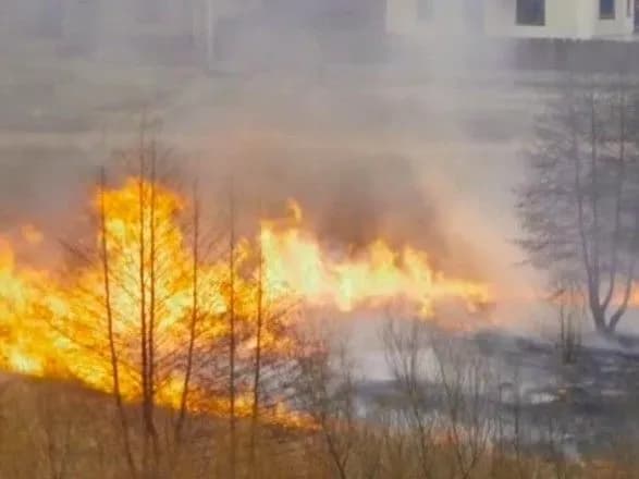 Кабмін підтримав законопроект щодо підняття штрафів для паліїв сухостою