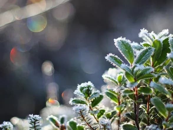 Синоптики дали прогноз погоди на завтра: де очікувати заморозків