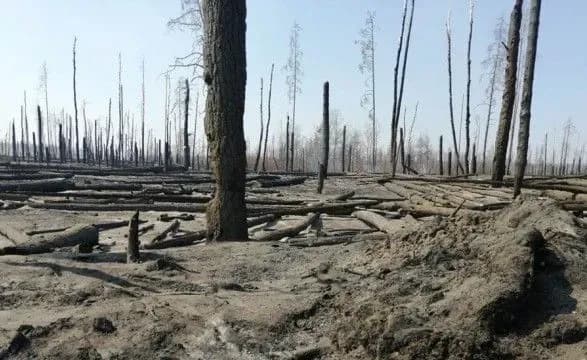 ДСНС про пожежну ситуацію у Зоні відчуження: відкритого вогню немає