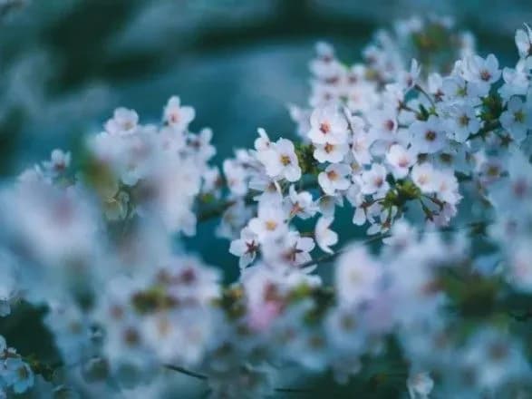 Від заморозків до 19° тепла: прогноз погоди на сьогодні