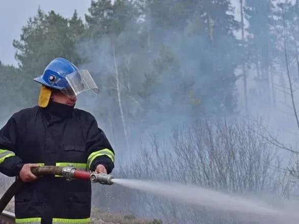 У Чорнобильській зоні триває гасіння трьох осередків пожежі - ДСНС