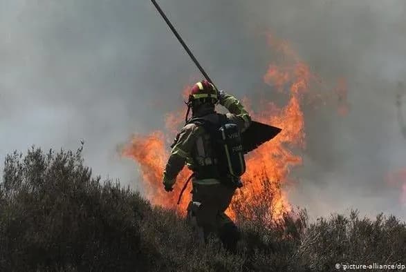 У Нідерландах почалася масштабна лісова пожежа