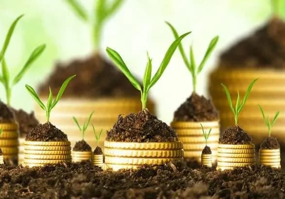 Монопольним контролером за врожаєм фермерів стане шестимісячна приватна компанія