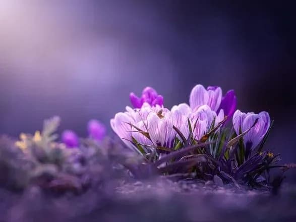 Від заморозків до 22° тепла: прогноз погоди на сьогодні