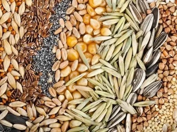 ВР підтримала приєднання України до стандарту ОЕСР щодо сертифікації насіння