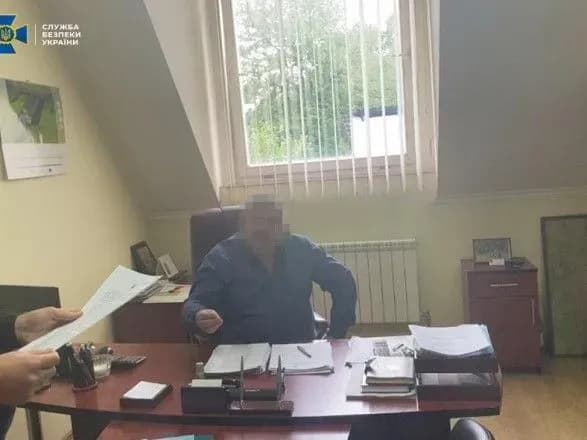 На Закарпатье СБУ разоблачила масштабную вырубку лесов на 14 млн грн