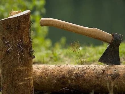 На Волині незаконно нарубали деревини і підпалили автівку з нею