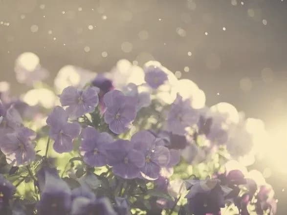 Грози і до 22° тепла: прогноз погоди на сьогодні