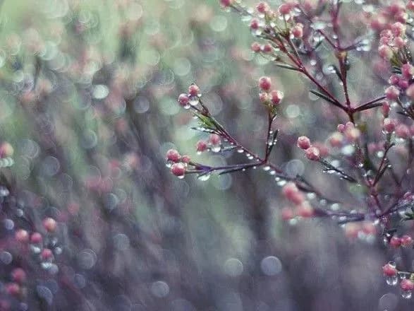 Від 1° до 21° тепла: синоптики дали прогноз на сьогодні