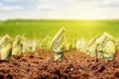 У Мін’юсті дали поради, як не стати жертвою рейдерів після відкриття ринку землі