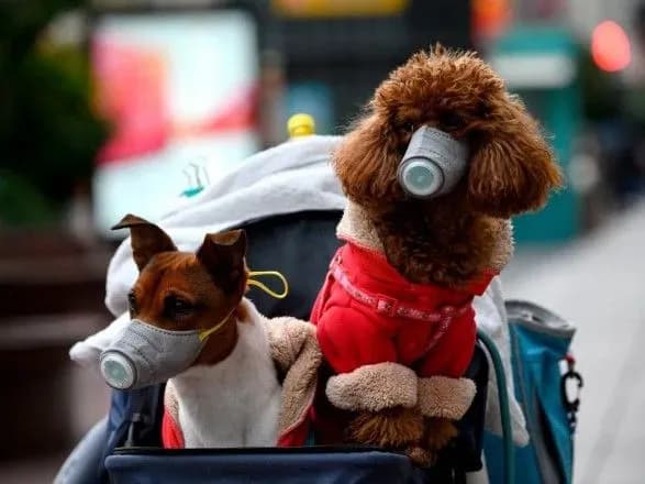 Послаблення карантину у Києві: що відкриють з 12 травня