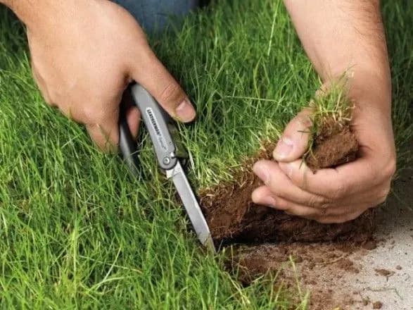 На Луганщині намагалися незаконно передати землю у власність громадянина РФ