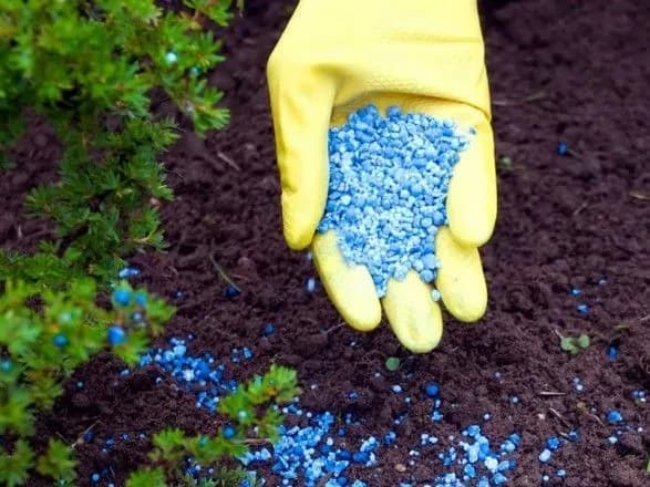 Квоти на імпорт добрив: у Мінекономіки назвали запобіжники від зловживань ціною та дефіциту товару