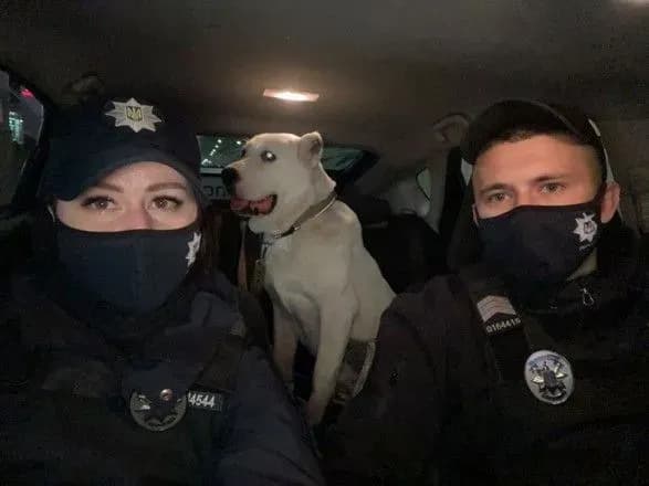 Вночі у столиці поліція знайшла і врятувала собаку