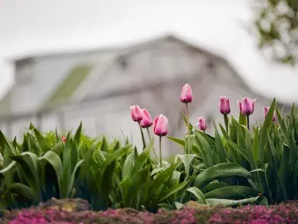 Від 2° до 20° тепла: прогноз погоди на сьогодні