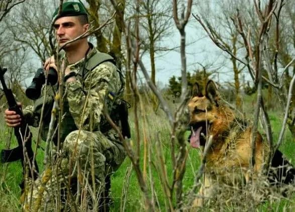 "Йшов на побачення": на кордоні з Угорщиною впіймали втікача, що був у розшуку