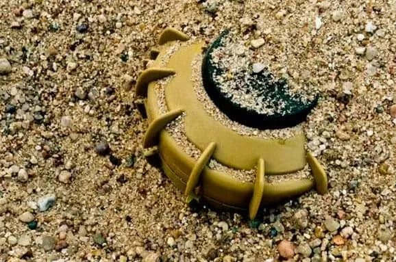 На Луганщині місцевий житель підірвався на міні – розвідка