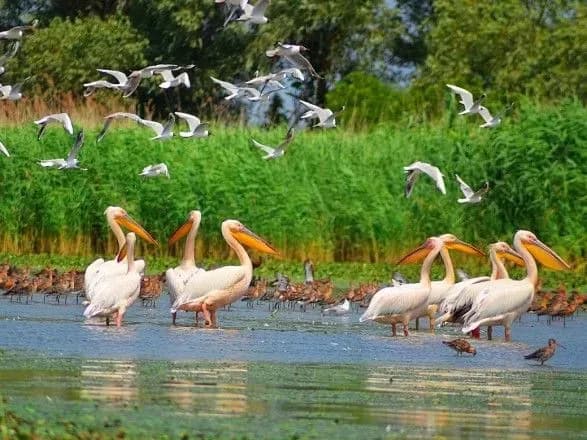 На Одещині планують створити експозиційний заповідник за близько 15 млн доларів
