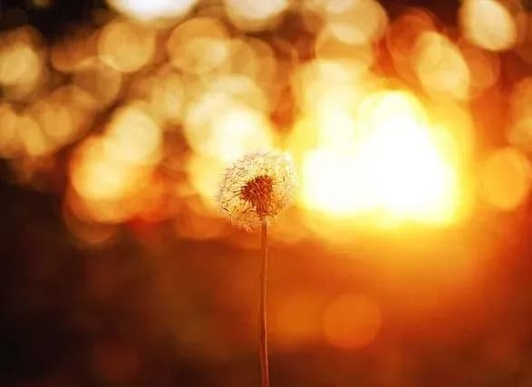 Синоптики дали прогноз погоди на початок наступного тижня