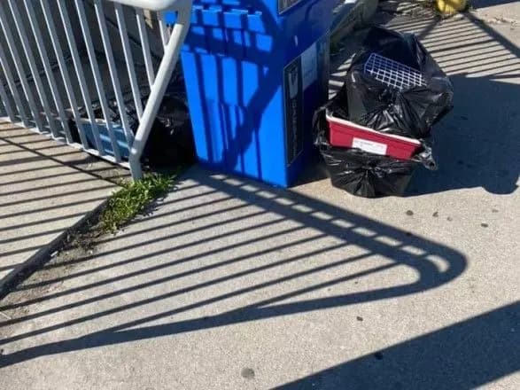 На борту літака МАУ померли 38 собак: подробиці