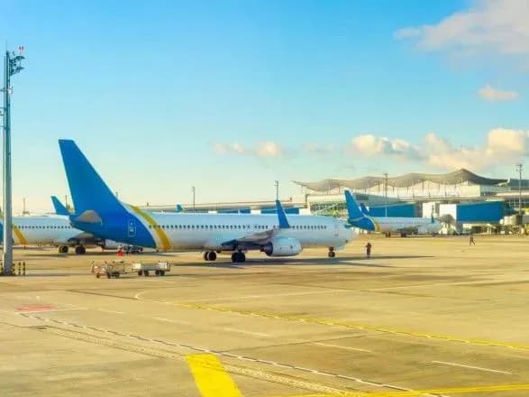 У МАУ розпочали службове розслідування щодо загибелі 38 цуценят на рейсі "Київ-Торонто"