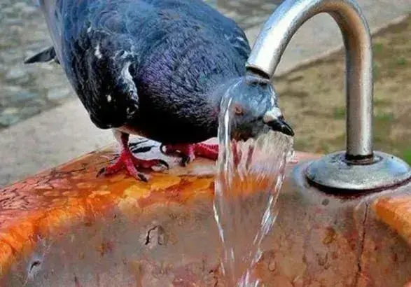 Июньская жара в Киеве побила пять температурных рекордов