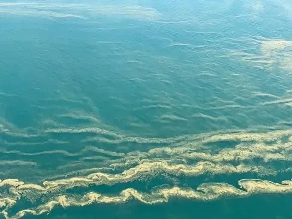 У Держпродспоживслужбі пояснили причину цвітіння води на узбережжі Одеси