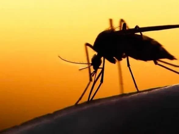 У Львові госпіталізували чоловіка з малярією