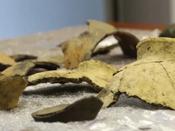 При будівництві траси на Дніпропетровщині знайшли давні археологічні пам'ятки