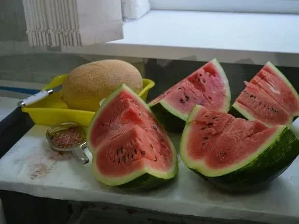 Херсонські кавуни і дині перевірили на нітрати