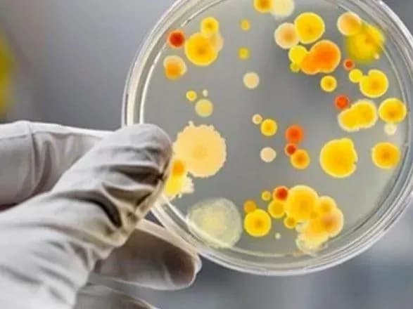 Спалах сальмонельозу зафіксували у Кропивницькому