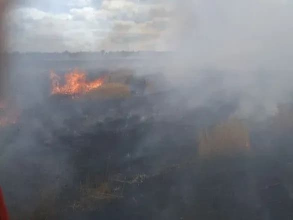 На Донеччині вигоріло 24 га пшеничного поля