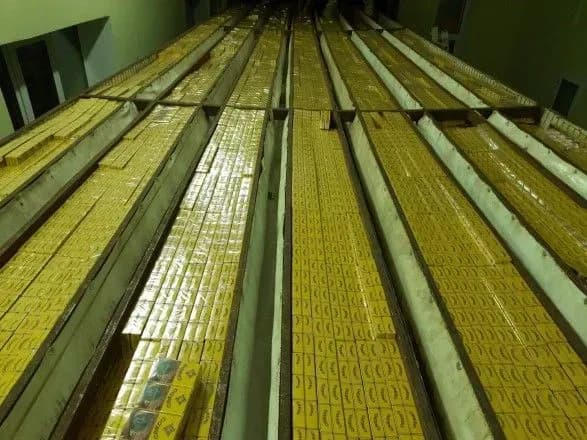На кордоні з Білоруссю виявили найбільшу партію контрабанди сигарет за останні роки