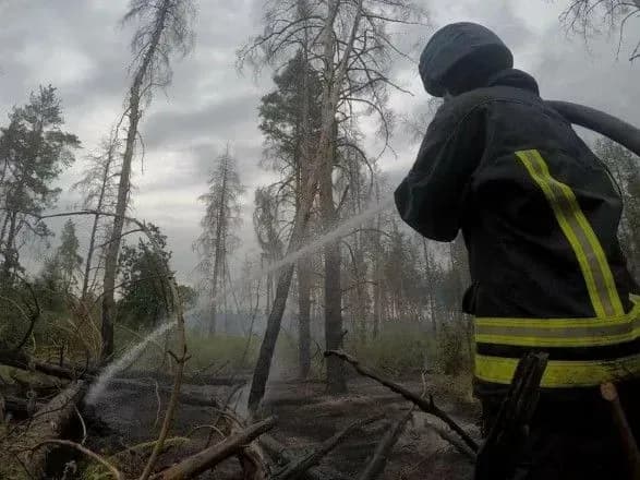 У ДСНС розповіли про нову лісову пожежу на Луганщині: відкритого вогню немає, тліють трава та деревина