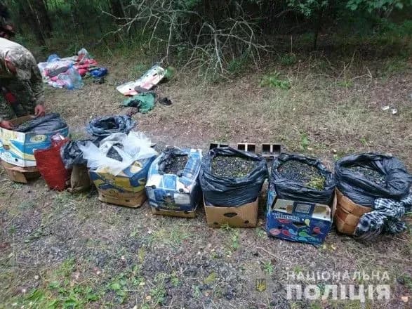Із зони ЧАЕС намагались вивезти 320 кг радіоактивних грибів та ягід