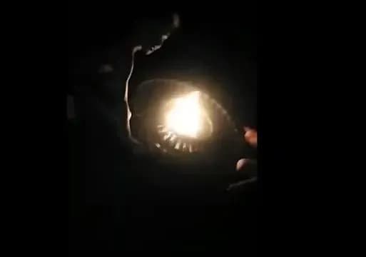 Лаялись, плювались і намагались загасити Вічний вогонь: у Миколаєві затримали хуліганів