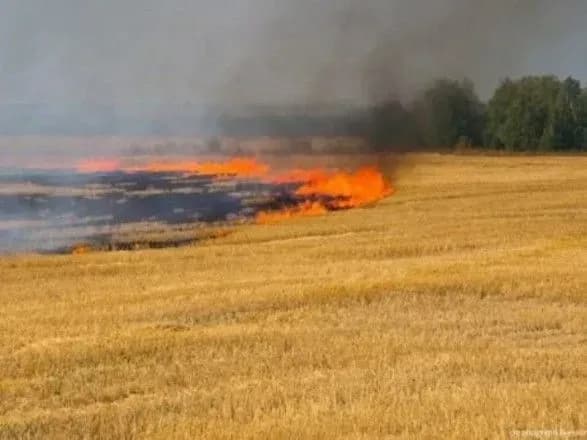 Пожар в Донецкой области выжег 21 га пшеницы - ГСЧС
