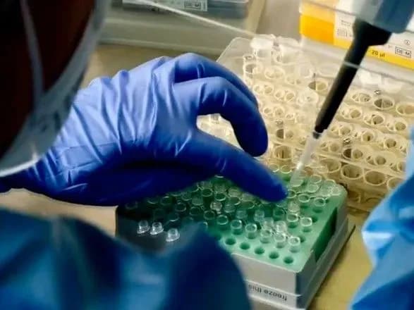 Степанов пояснил, при каких условиях ПЦР-тест может показать ложно отрицательный результат