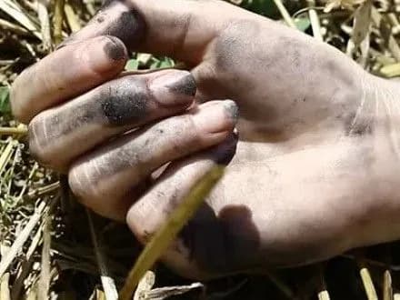 У Покрові з каналізаційного колодязя витягли тіло жінки