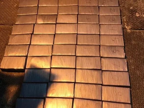 У порту "Південний" вилучили партію кокаїну вартістю понад 200 млн грн
