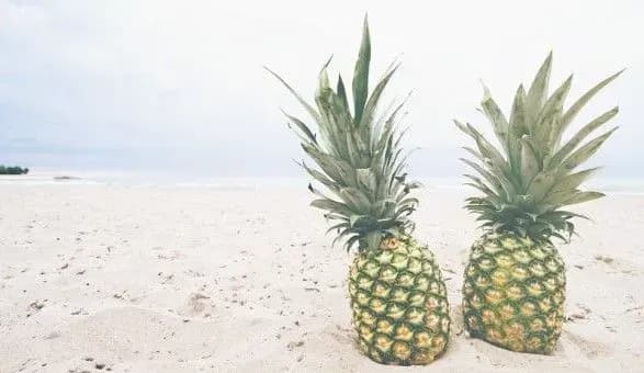 Дієтолог дала поради, як не погладшати під час відпустки